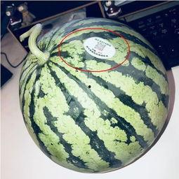 无锡网红吃瓜,揭秘幕后故事与热门话题